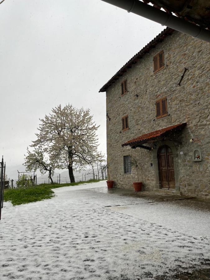 Casa VACANZE ROLANDO Castiglione di Garfagnana Esterno foto