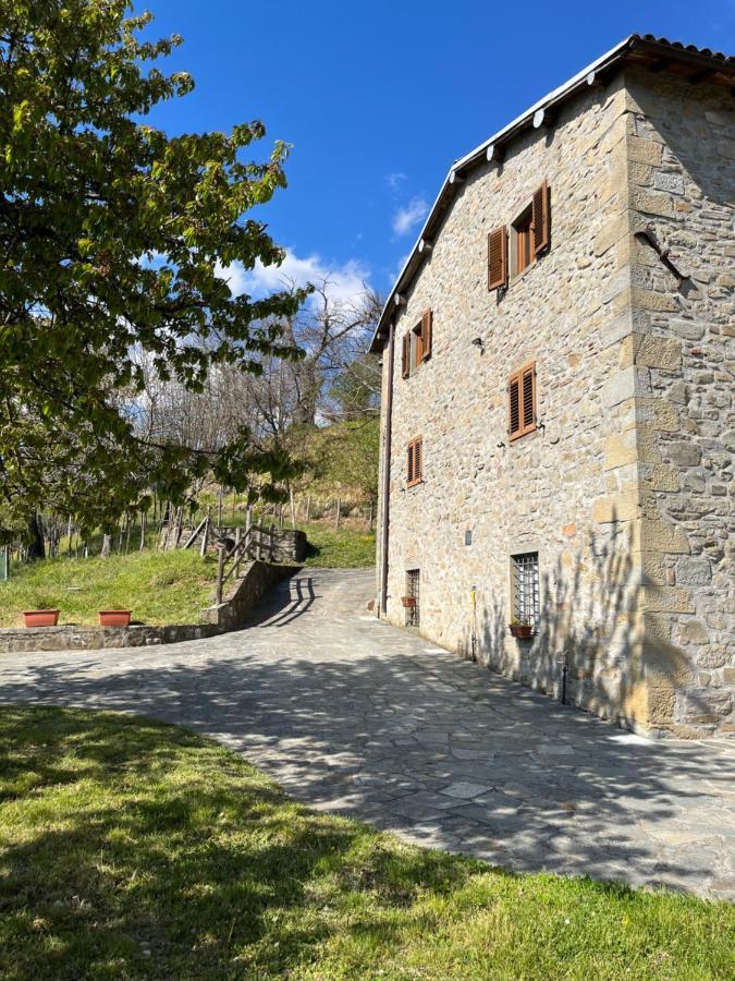 Casa VACANZE ROLANDO Castiglione di Garfagnana Esterno foto